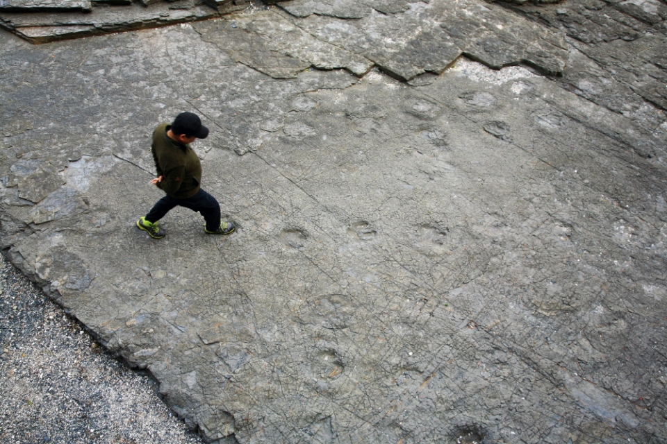 상족암군립공원의 공룡발자국을 걷고 있는 여행자
