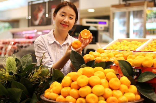 롯데백화점 대전점 지하1층 청과 코너에서는 새콤달콤하게 즐길 수 있는 하우스 감귤을 선보이고 있다.