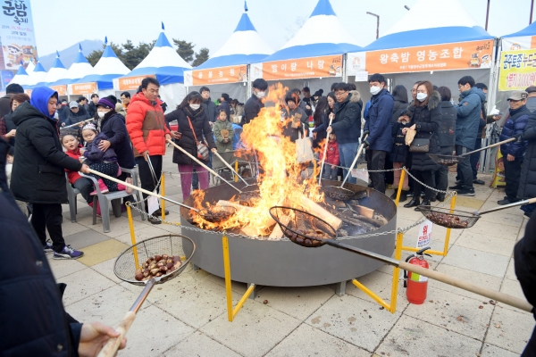 2019년 겨울 공주의 밤 축제가 전국으로부터 많은 인파가 몰려 대성황을 갖추고 있다.