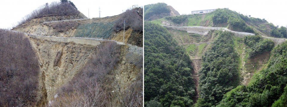 민북지역 복원사업 전(왼쪽)과 후.[사진=산림청 제공]
