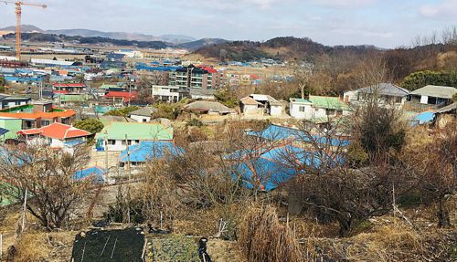새뜰마을사업대상지로 선정된 장항읍 성주1리 전경.