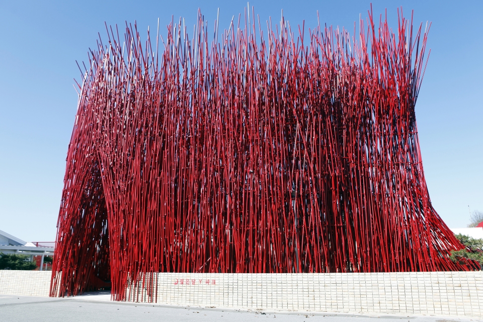 젊은달와이파크의 강렬한 첫인상 ‘붉은나무’.(사진=박상준 촬영)