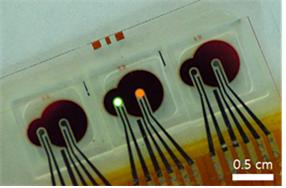 OLED 및 유기포토다이오드를 이용한 심박 및 산소포화도 센서.[사진=KAIST 제공]
